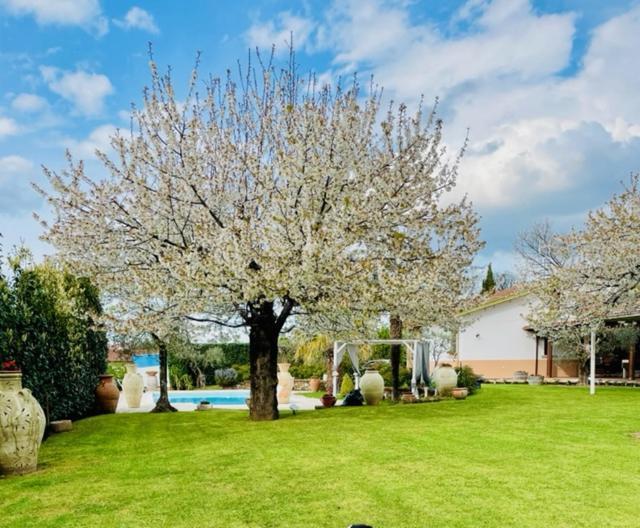 Villa "Casa Al Chiazzullo" Mirabella Eclano Eksteriør bilde