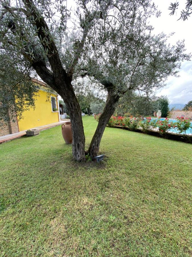 Villa "Casa Al Chiazzullo" Mirabella Eclano Eksteriør bilde